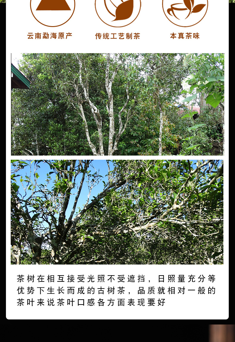 老茶头详情页_03.jpg