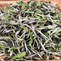 厂家批发 2022年福鼎白茶磻溪高山白牡丹王散装春茶日晒茶叶500g