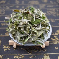 2022年福鼎白茶头春白牡丹高山散茶花香味新茶500g 厂家批发