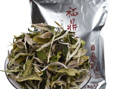 2022年福鼎白茶头春白牡丹高山散茶花香味新茶500g 厂家批发图4