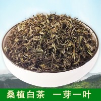 桑植白茶一芽一叶 爱尚园茶业2019年产陈年百茶张家界特产散装茶