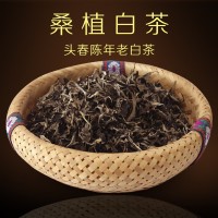 桑植白茶 机采叶压饼专用叶 高山品质白茶散装张家界特产厂家直销