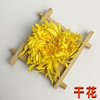 2021年新花金丝皇菊花大朵黄菊花一杯一朵散装 厂家直销批发