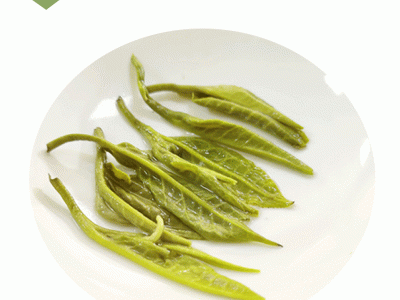 2021新茉莉花茶叶批发浓香型茉莉玉螺 横县茉莉花茶厂家散茶批发图4
