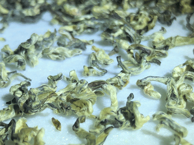 广西横县茉莉花茶曲毫飞雪 厂家直批原产地发货茉莉花茶 散装批发图2