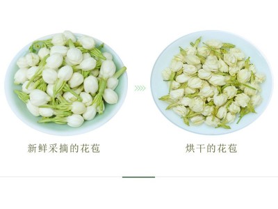 2022茉莉花厂家直批花草茶批发茉莉大花蕾花苞花骨朵特产茉莉花干图3
