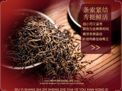 武夷山高山红茶金骏眉茶叶礼盒装250g袋泡装带茶具茶壶厂家直销图2