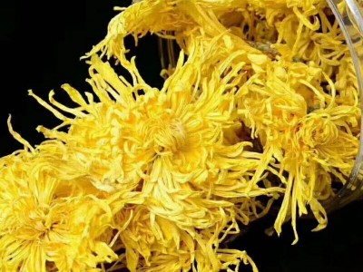 2021年黄山 金丝皇菊 黄菊花茶 罐装20克 花草茶 菊花 批发图2
