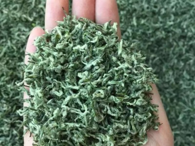 2022新茶叶绿茶 散装毛尖 日照高山云雾 一件代发厂家 茶叶香茶图2