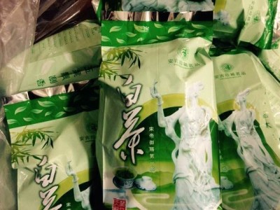 2022新茶叶绿茶 散装毛尖 日照高山云雾 一件代发厂家 茶叶香茶图5