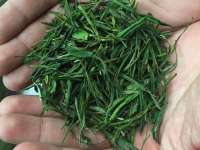 白茶批发 2022新茶散装绿茶 500茶农直销 农副产品安吉茶农直销图5