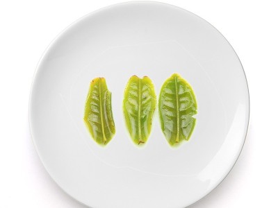样品，购买前请联系客服确认发样等级。精一茶业兢兢业业做好茶！图4
