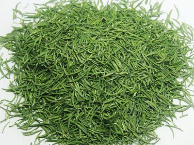 2022年新茶 贵州雀舌 绿茶 茶叶 500g散装批发图3