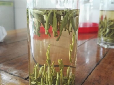 2022年新茶 贵州雀舌 绿茶500g散装茶叶批发图4