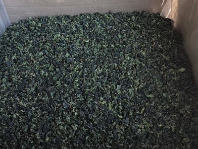 厂地直销安溪乌龙茶 铁观音茶叶 新茶散装浓香清香型散茶袋装批发图4