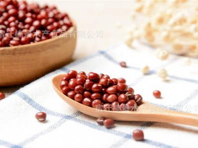 【出口企业】出口赤豆 红豆 小豆 红豆粗粮新货 速冻熟制红豆批发图3