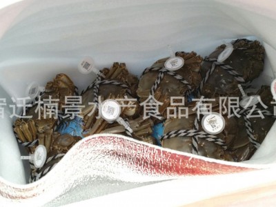 【出口企业】预售 鲜活速冻大闸蟹 出口速冻大闸蟹 批发或出口图4