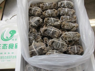 【出口企业】预售 鲜活速冻大闸蟹 出口速冻大闸蟹 批发或出口图5