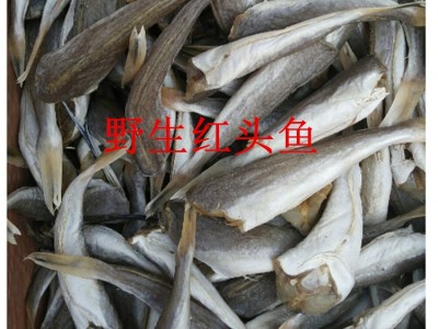 跑江湖地摊干货批发 红头鱼 去头鱼干 江苏特产海鲜干货图3