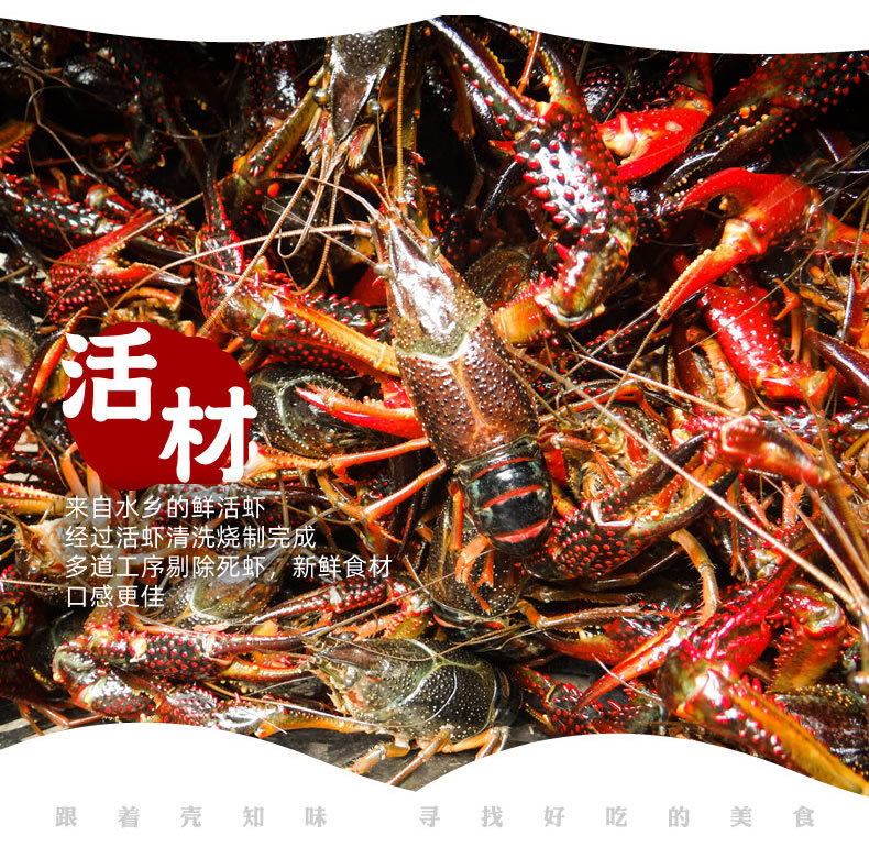 小龙虾1-5.jpg