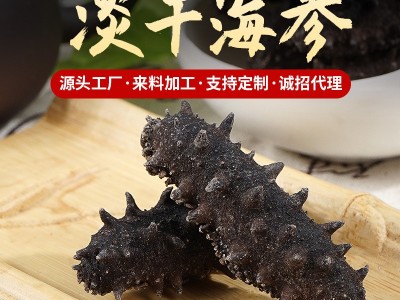 自有工厂现货批发淡干海参250g海参干货批发辽参刺参代发招代理图1