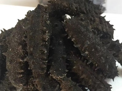大连纯淡干 海参干货批发50g 大连辽参厂家一手货源支持一件代发图2