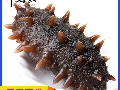 即食海参批发 大连海参辽刺参非干货厂家直供一件代发2-20头图2