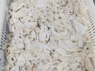厂家供应冷冻食品鱼肚 餐饮火锅食材鱼肚 批发半成品冷冻鱼肚图2