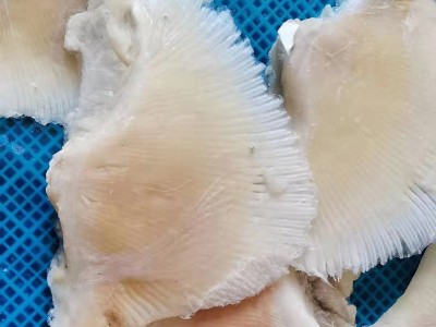 鱼翅现货批发 煲汤煮粥海产品鱼翅 速冻海产品独立包装鱼翅厂家图3