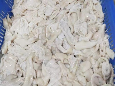 酒店火锅食材冷冻鱼肚 口感鲜嫩炖汤冷冻鱼肚 商用半成品冷冻鱼肚图2
