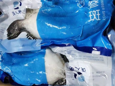 厂家一手货批发冷冻生鲷鱼片鲜冻鲷鱼纯肉冻鲜罗非鱼片量大从优图4