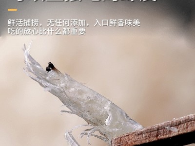 淡干虾皮北部湾天然海虾米海虾皮小虾仁海米500g 批发 一件代发图3