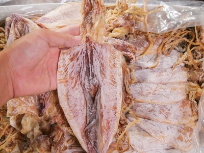 北海烧烤鱿鱼干芥末鱿鱼手撕鱿鱼 海产干货 500g 批发一件代发图3