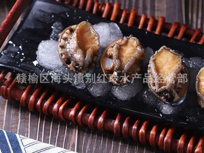 厂家直销新鲜鲍鱼海鲜水产小鲍鱼仔鲍鱼50只包邮 只包新鲜不包活图3