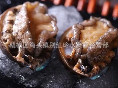 厂家直销新鲜鲍鱼海鲜水产小鲍鱼仔鲍鱼50只包邮 只包新鲜不包活图4