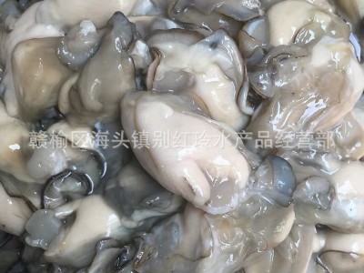 连云港特产当天 现剥去壳 生蚝 海蛎 牡蛎肉 新鲜 鲜活海鲜批发图3