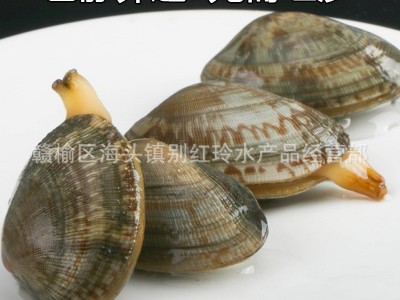 无沙花甲鲜活花甲 冰甲连云港蛤蜊花蛤批发 酒店食材海鲜水产批发图2