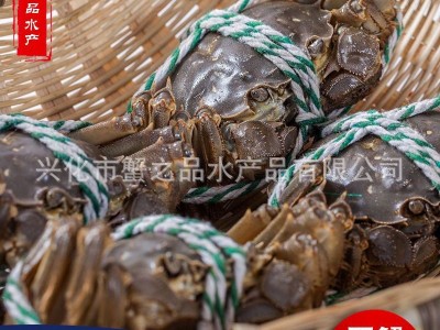 鲜活大闸蟹 公母随机 水产现货 螃蟹批发一件代发图3