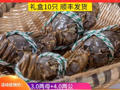 大闸蟹 兴化养殖基地大闸蟹礼盒公蟹4两 母蟹3两大闸蟹批发图1