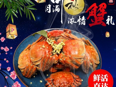 2.5两母螃蟹10只 蟹批发 散称鲜活大闸蟹批发 养殖基地供应 河蟹图3