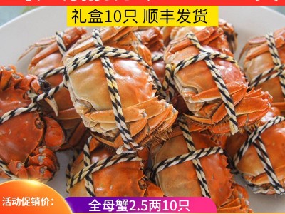 2.5两母螃蟹10只 蟹批发 散称鲜活大闸蟹批发 养殖基地供应 河蟹图2