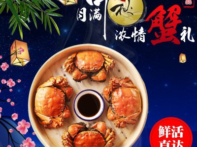 批发大闸蟹鲜活螃蟹公母3两-2.0两挑膏蟹 专卖店酒店指定用蟹河蟹图2