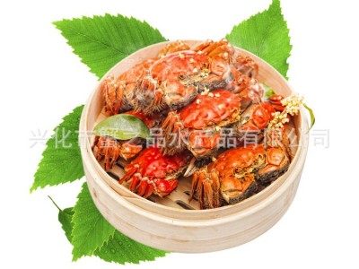 批发大闸蟹鲜活螃蟹公母3两-2.0两挑膏蟹 专卖店酒店指定用蟹河蟹图5