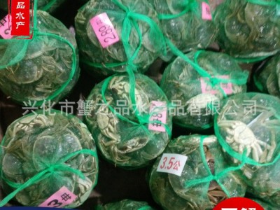 批发大闸蟹鲜活螃蟹公母3两-2.0两挑膏蟹 专卖店酒店指定用蟹河蟹图4