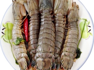 【厂家货源】生冻爬虾肉230g皮皮虾虾姑瑟瑟虾爬虾肉完整虾肉批发图2