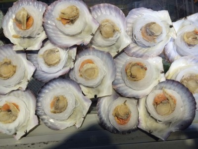 山东海产品批发 冷冻粉丝扇贝 半成品海鲜调理食品8-9 粉丝扇贝图4