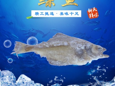货源供应比目鱼 肉质鲜嫩冷冻鲽鱼户外烧烤鲽鱼图2