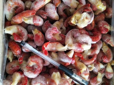 1级大龙虾尾色泽好 新鲜速冻虾尾 烧烤火锅麻辣龙虾尾图2