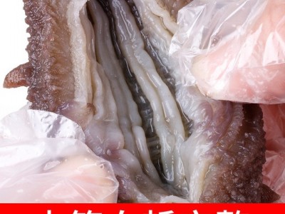 【加工定制】即食海参深海大连辽参500g非淡干即食免泡发海参图4