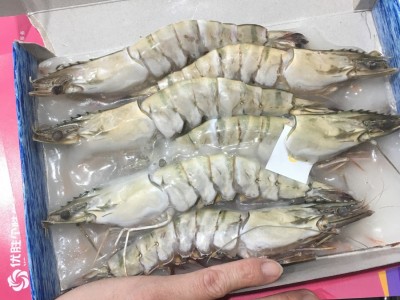 越南花虾 大对虾 虎虾海鲜 冷冻九节虾 各规格黑虎虾 净重400g/盒图4